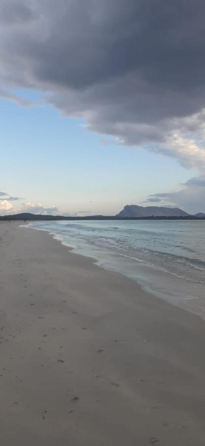 B&B Florian San Teodoro  Eksteriør bilde